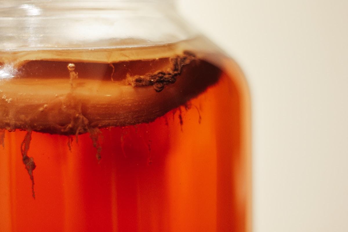 Close-up of vibrant amber kombucha fermenting in a glass jar with a living SCOBY culture visible at the top
