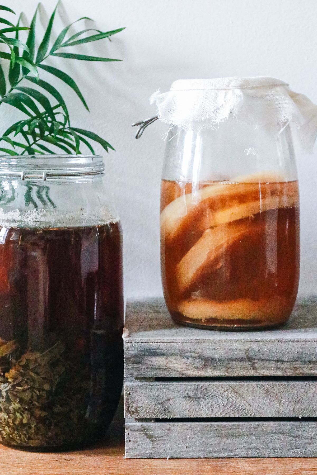 Close-up of kombucha brewing in jars with a rustic setting, showing natural fermentation